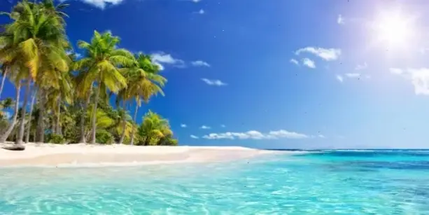 Hình nền Caribbean nghệ thuật sáng tạo, kết hợp vẻ đẹp thiên nhiên với phong cách độc đáo và ấn tượng.