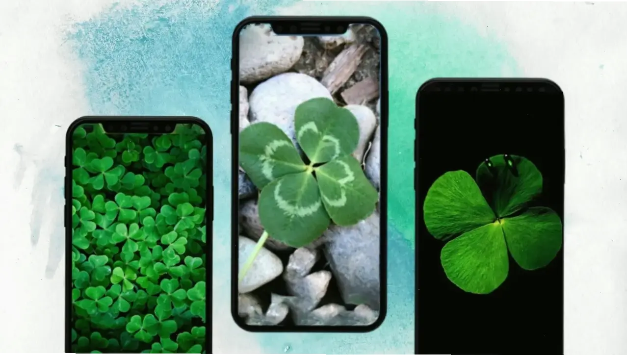 Hình nền cỏ 4 lá cho điện thoại, giữ sự may mắn luôn bên cạnh trong từng khoảnh khắc.