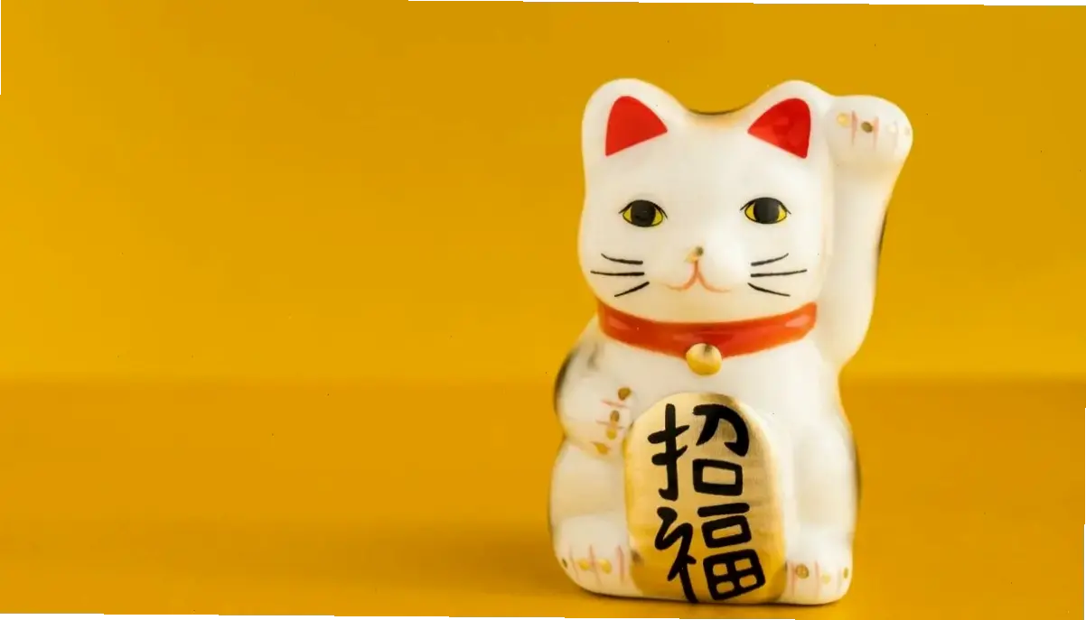 Hình nền động mèo sinh động, như mèo thật đang chơi đùa!