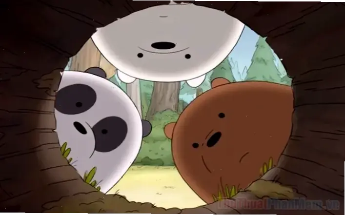 Khám Phá Hình Nền Gấu Trắng Ngộ Nghĩnh Độc Đáo Ngay Bây Giờ!