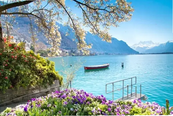 Hình nền hồ Lucerne hùng vĩ với núi non xanh mướt, lý tưởng để làm mới không gian làm việc hàng ngày.