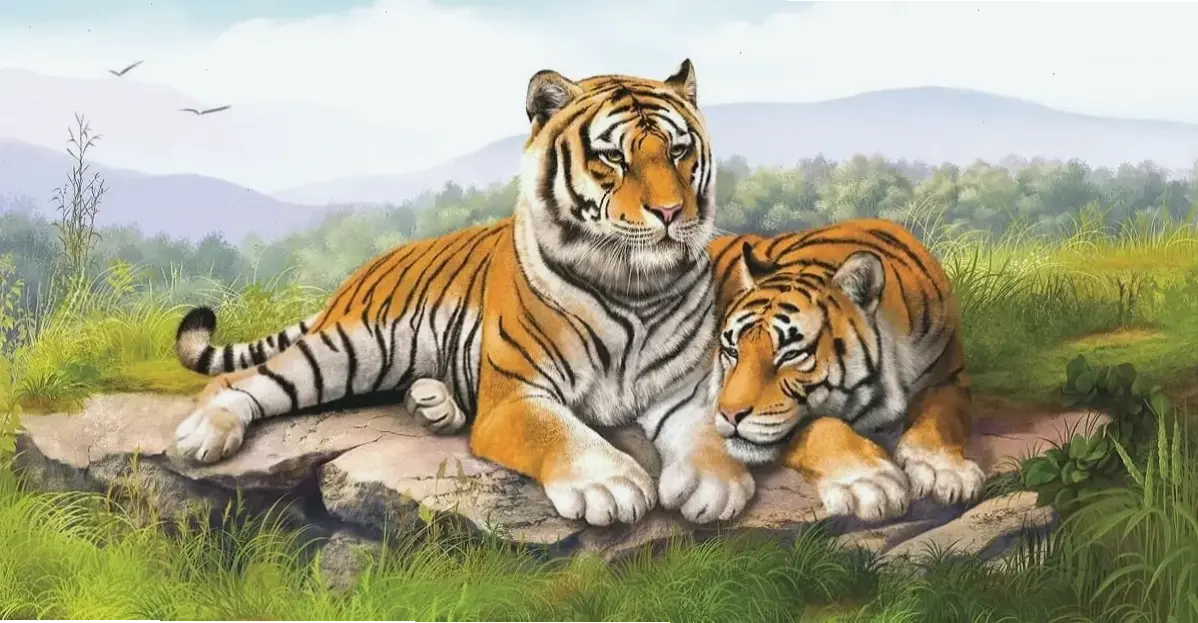 Hình nền hổ tuyết trắng muốt, huyền bí và mạnh mẽ, biến màn hình bạn thành bức tranh thiên nhiên kỳ diệu.