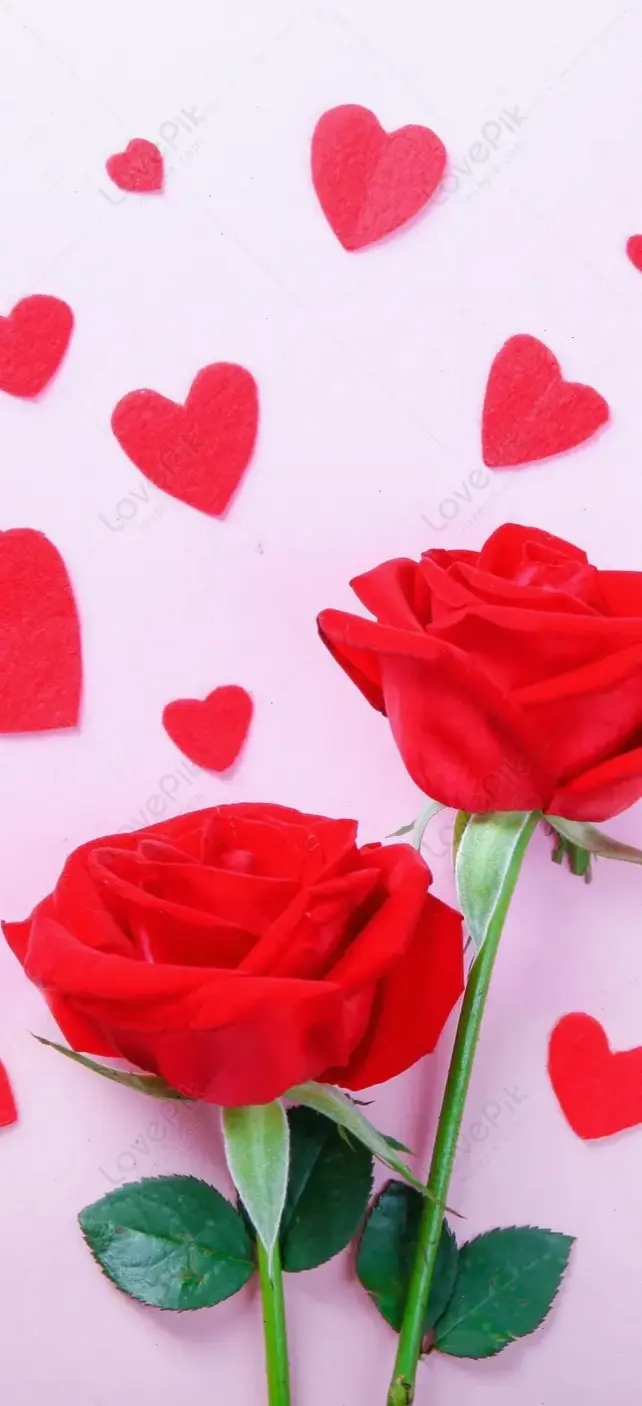 Hình nền hoa hồng đen mạnh mẽ, phong cách tối giản đầy ấn tượng.