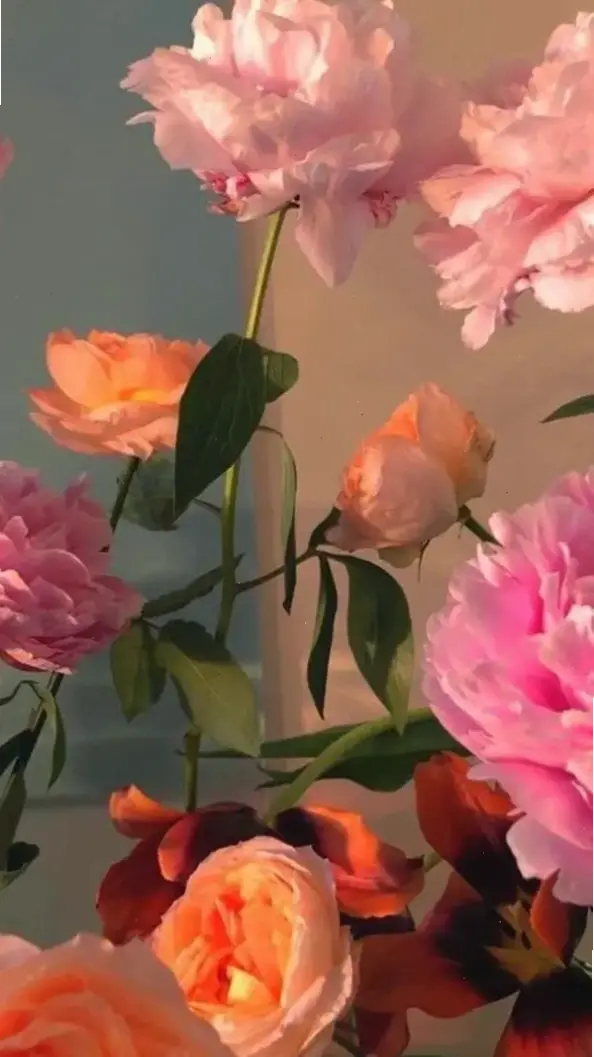 Hình nền hoa hồng đẹp nhất, lựa chọn lý tưởng cho người yêu thiên nhiên.