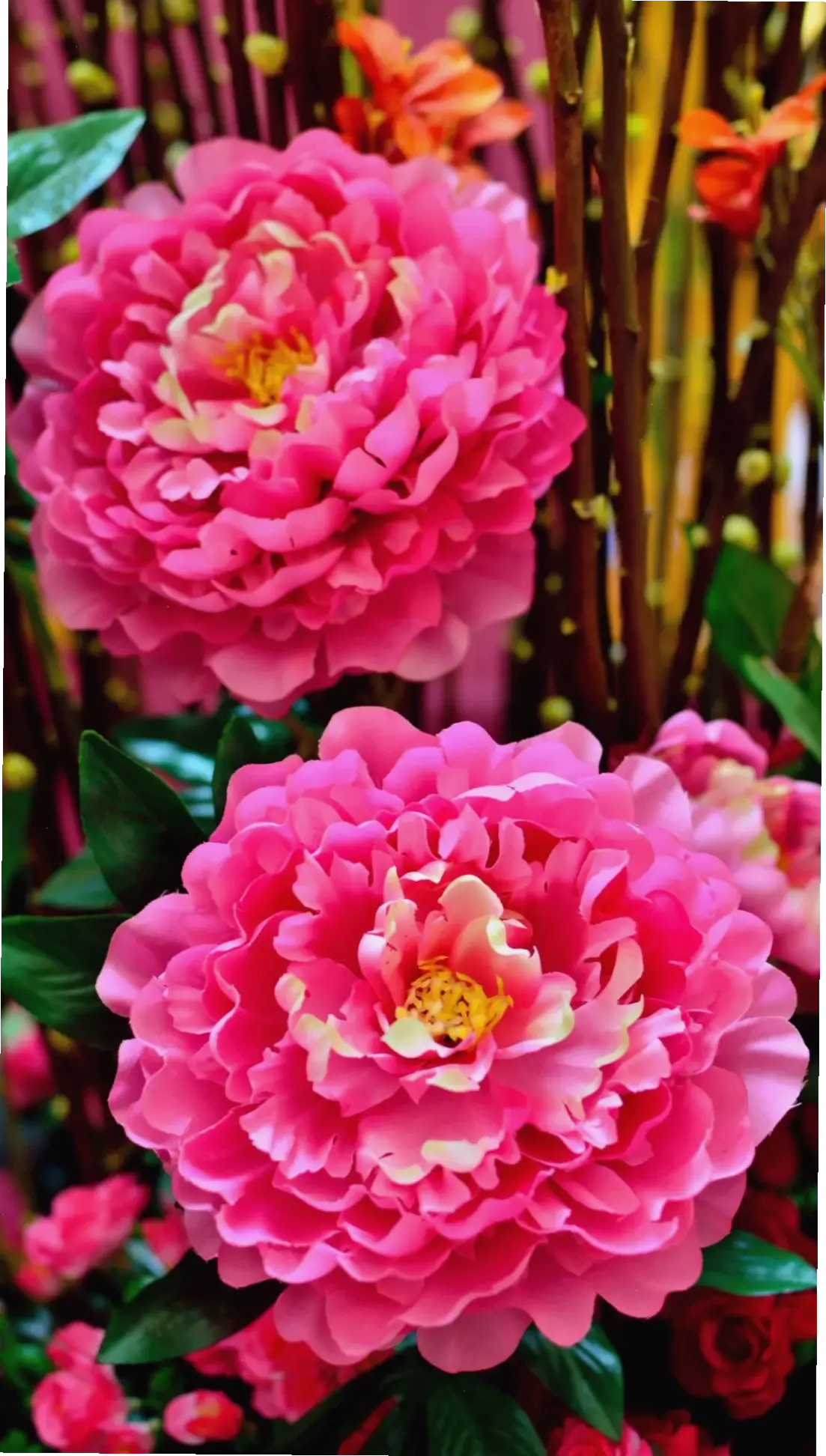 Hình nền hoa hồng vàng 3D lộng lẫy, thêm sự sang trọng và chiều sâu cho màn hình.