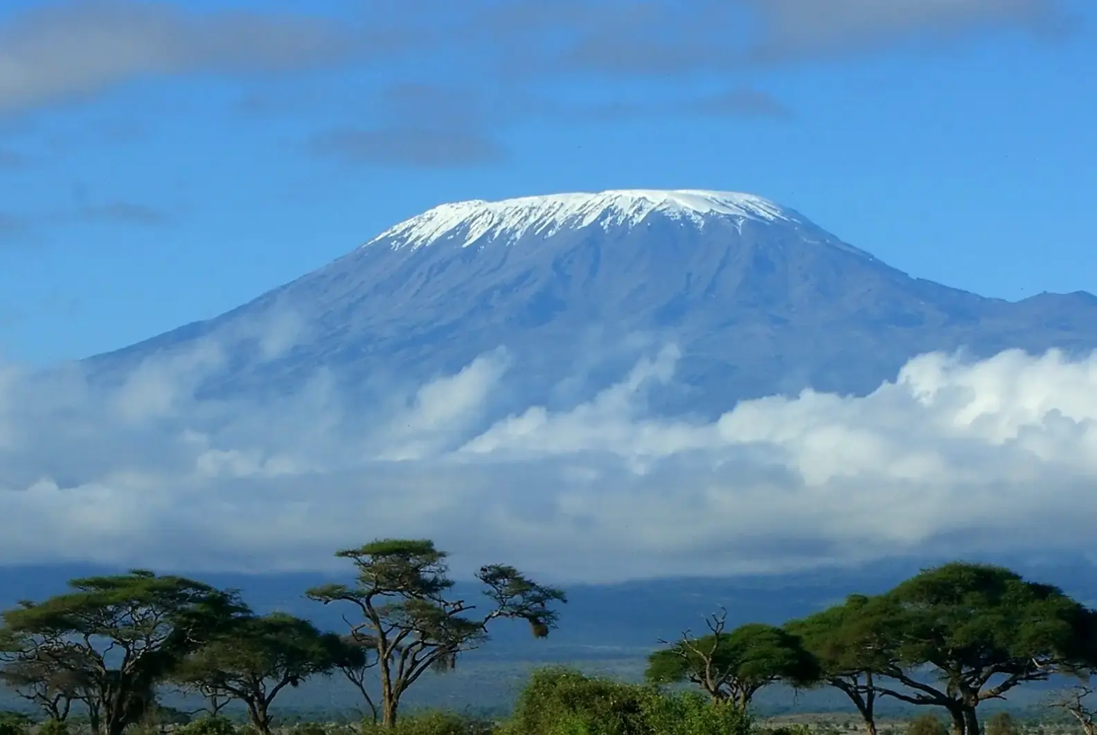 Hình nền Kilimanjaro thơ mộng, với cảnh quan lãng mạn và huyền ảo mang đến cảm giác yên bình tuyệt đối.