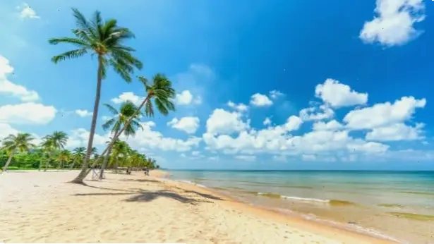 Hình nền màu xanh biển dịu dàng, mang sắc màu thiên nhiên vào màn hình, tạo cảm giác thư thái.