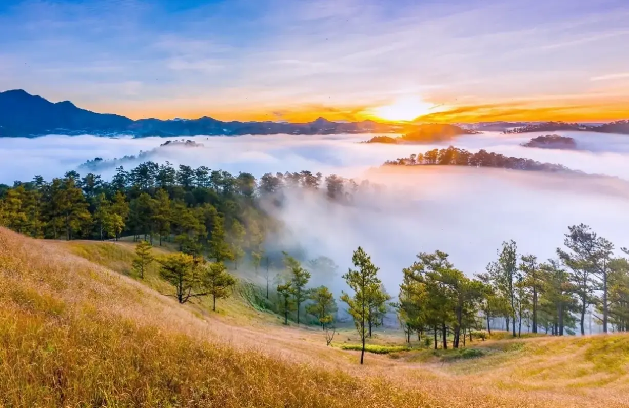 Hình nền rừng thơ mộng tạo nên không gian lãng mạn, giúp bạn thư giãn và mơ mộng mỗi khi nhìn ngắm.