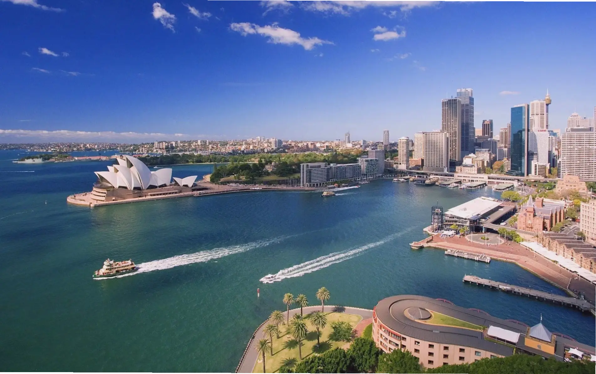 Hình nền Sydney đêm lung linh ánh đèn, biến màn hình bạn thành bức tranh đô thị huyền ảo đầy sức hút.