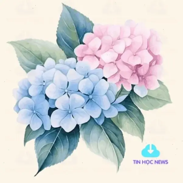 Hoa cẩm tú cầu bó hoa cưới, biểu tượng tình yêu vĩnh cửu, tạo nên khoảnh khắc lãng mạn khó quên.