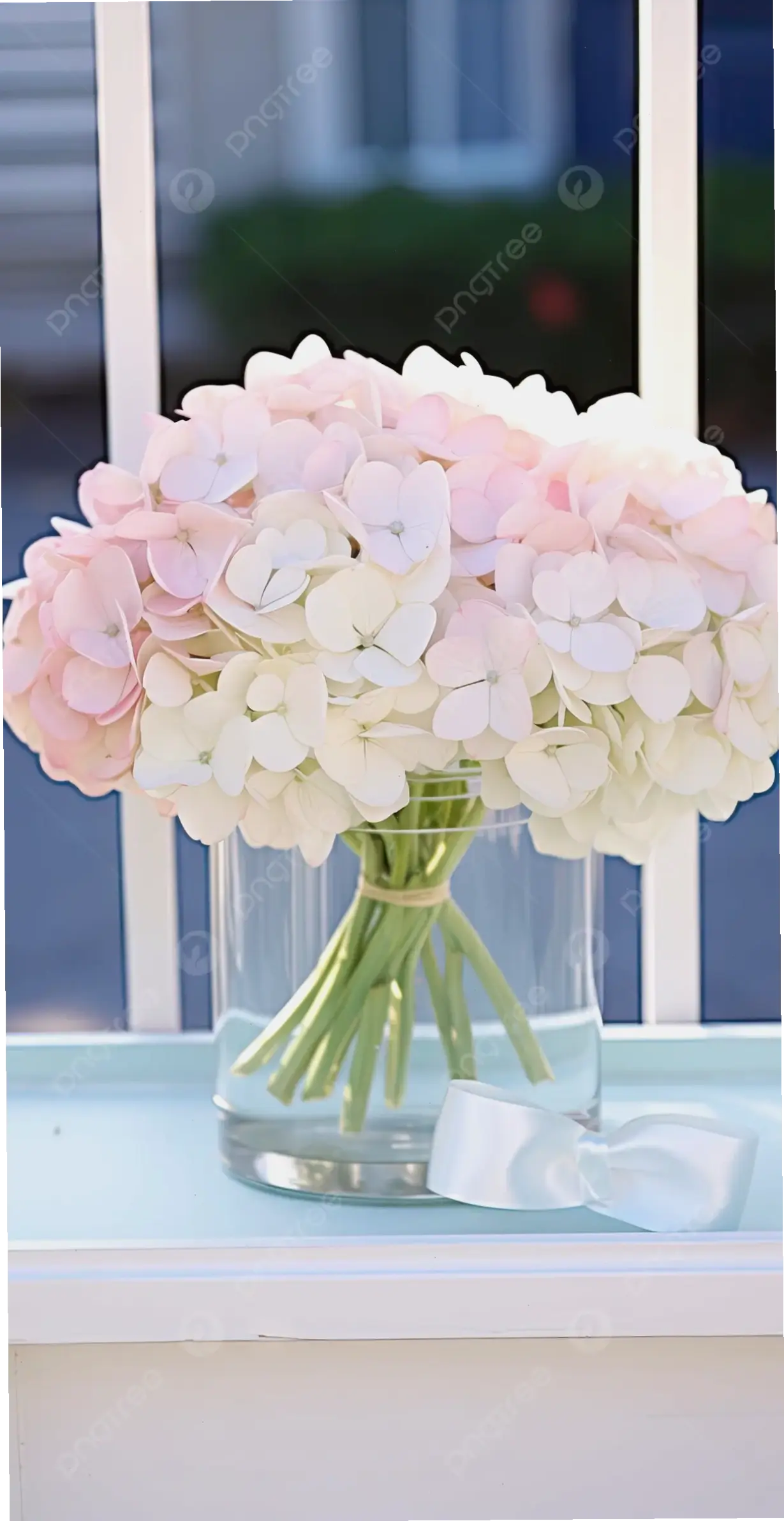 Hoa cẩm tú cầu cắm bình, bó hoa trang trí đẹp mắt, tạo nên không gian ấm áp và đầy sức sống.