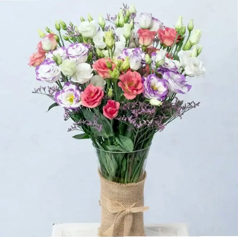 Hoa cát tường chưng Tết mang may mắn, ấm áp cho gia đình. Trang trí nhà cửa với sắc hoa tươi thắm, đón năm mới tràn đầy niềm vui.