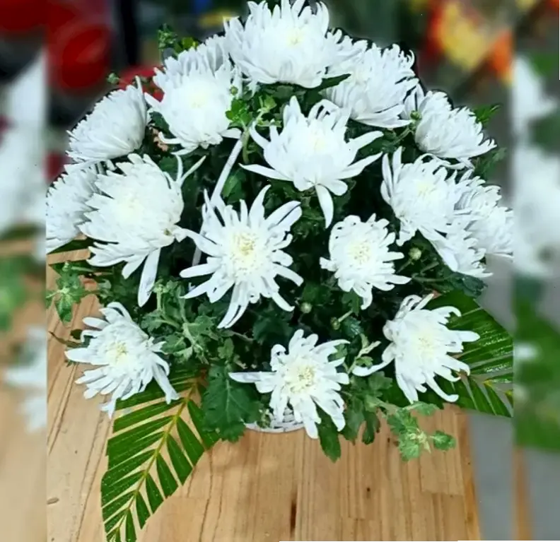 Hoa cúc bó hoa trang trí xinh xắn, hoàn hảo để làm mới bàn làm việc hay phòng khách với vẻ đẹp tự nhiên và hấp dẫn.