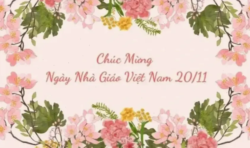 Hoa cúc dành cho ngày 20/11, lời chúc mừng ý nghĩa gửi đến thầy cô với sự trân trọng sâu sắc.
