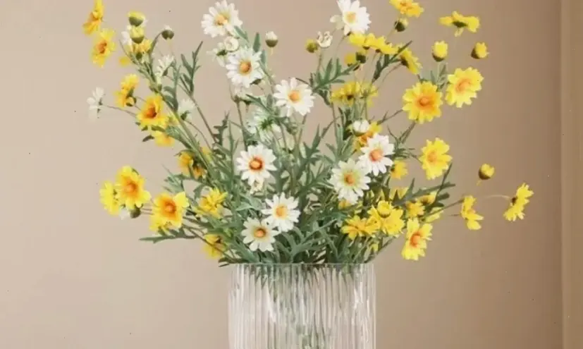 Hoa cúc họa mi cắm bình trang trí nhà dịp 8/3, tạo không gian lãng mạn và tươi mát.