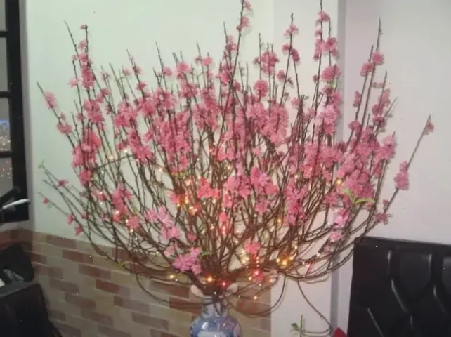 Hoa đào cắm bình thanh lịch, mang lời chúc mừng ấm áp đến gia đình yêu thương.