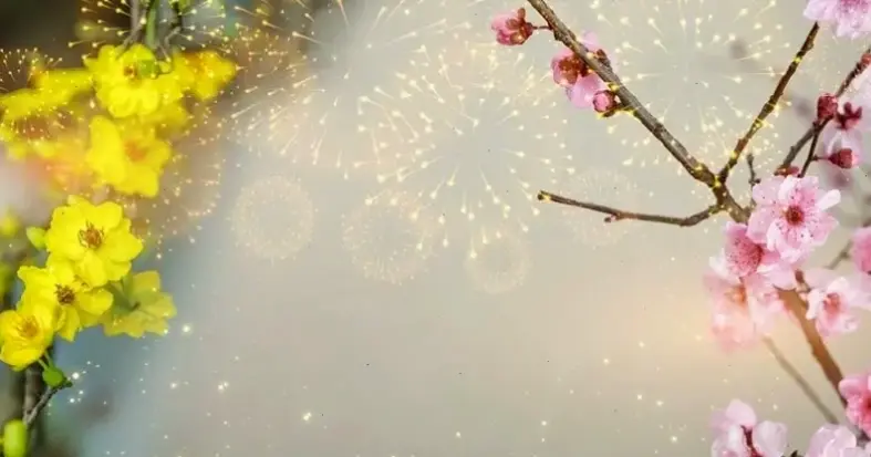 Hoa đào chúc mừng đẹp lung linh, gửi lời chúc tốt đẹp nhất cho bạn bè và gia đình.