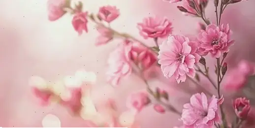 Hoa đào chụp cận cắm bình tiết lộ vẻ đẹp tinh xảo của từng cánh hoa rực rỡ.