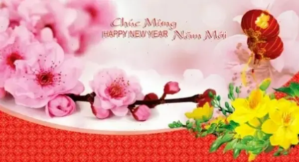 Hoa đào trang trí đẹp mắt, chúc mừng dịp lễ thêm phần rạng rỡ và ấm cúng.