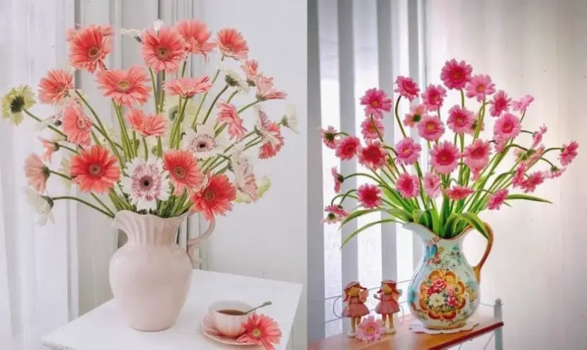 Hoa đồng tiền cắm bình đẹp mắt, mang vẻ tươi mới và rực rỡ vào không gian sống hàng ngày.