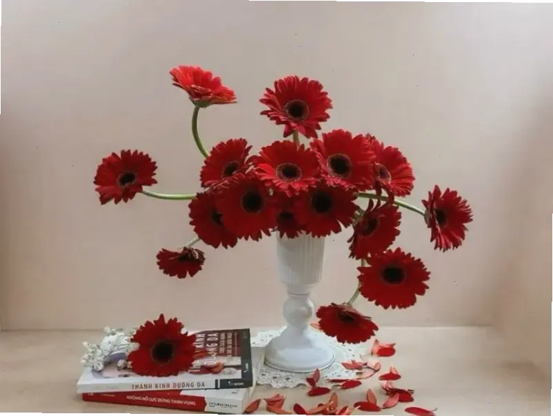 Hoa đồng tiền cắm bình đơn giản mà tinh tế, tạo điểm nhấn rực rỡ cho bàn ăn hoặc phòng khách trong ngày Tết.