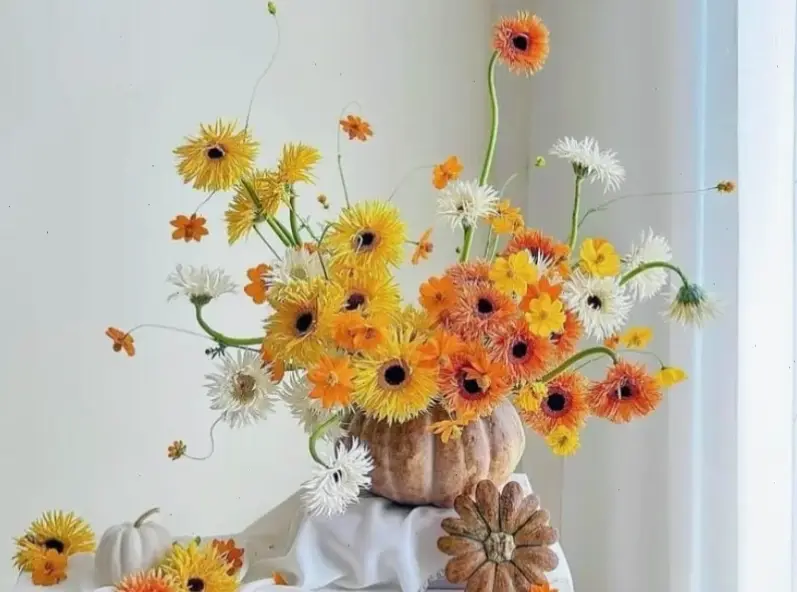 Hoa đồng tiền cắm bình macro, tạo nên không gian sống tươi mới, tràn đầy năng lượng tích cực mỗi ngày.