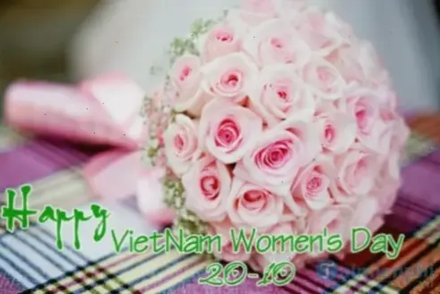 Hoa đồng tiền dành tặng 20/10, tri ân phụ nữ với sắc màu rực rỡ và ý nghĩa sâu sắc!