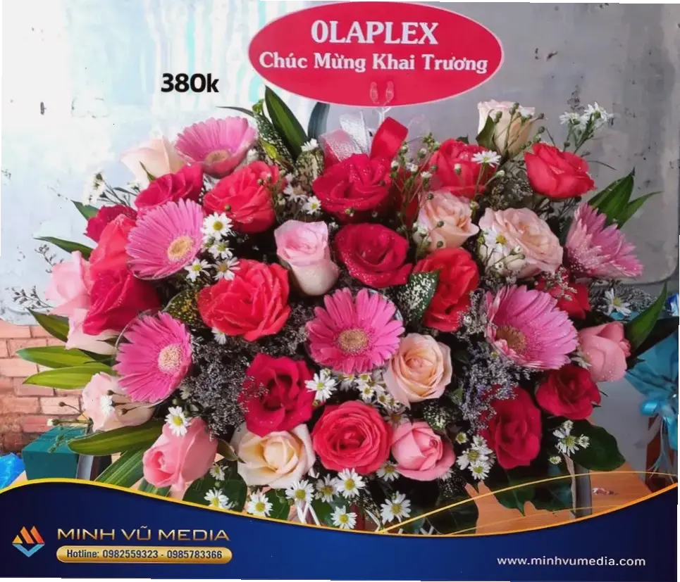 Hoa đồng tiền vàng cho ngày khai trương, biểu tượng cho sự khởi đầu thành công rực rỡ.