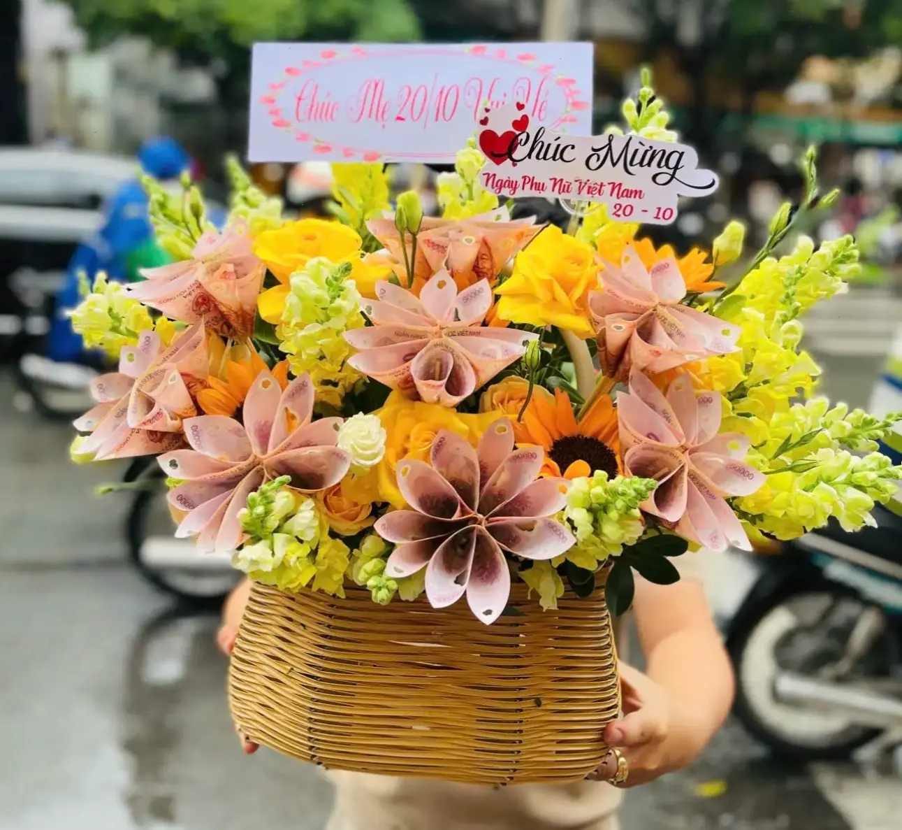 Hoa đồng tiền vàng tươi mới, mang lời chúc phúc ấm áp đến người phụ nữ yêu quý vào dịp 8/3.