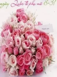 Hoa hồng 8/3 đẹp mê ly, món quà tinh tế để chúc mừng và tôn vinh phái đẹp.