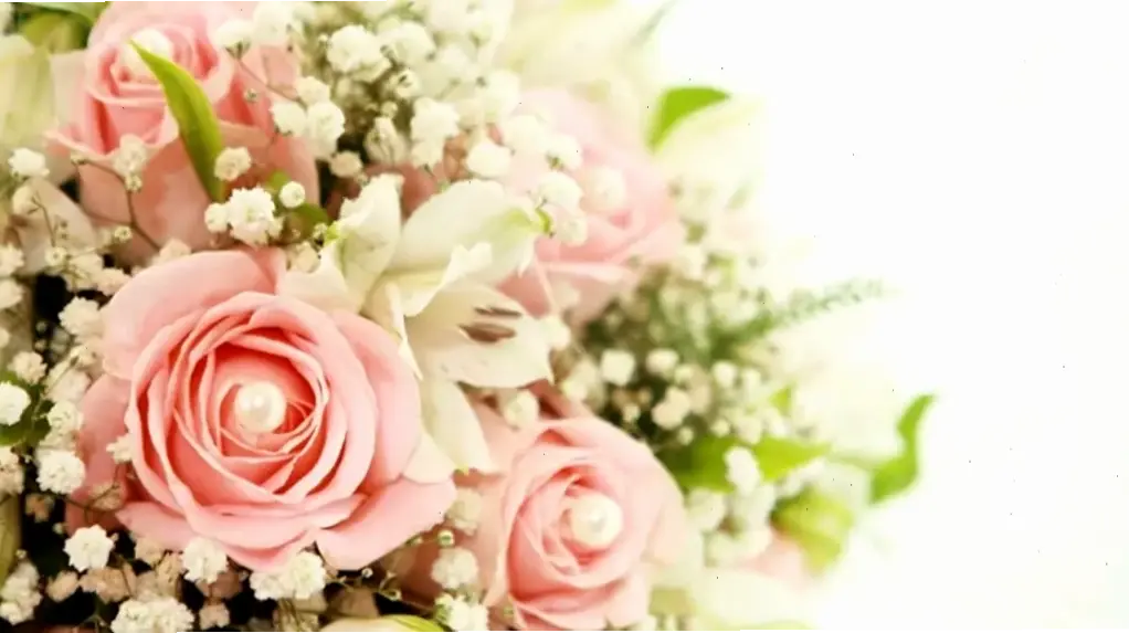 Hoa hồng sinh nhật đẹp mê ly, mang đến hạnh phúc và lời chúc tốt đẹp nhất.