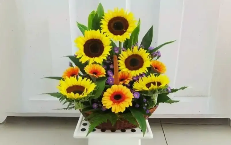 Hoa hướng dương cắm bình mang đến sự tươi mới và năng lượng tích cực cho ngôi nhà bạn.