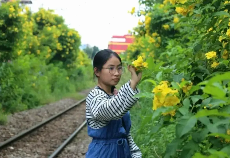 Hoa huỳnh liên trong vườn quê gợi lên không khí yên bình, kỷ niệm tuổi thơ mộc mạc.