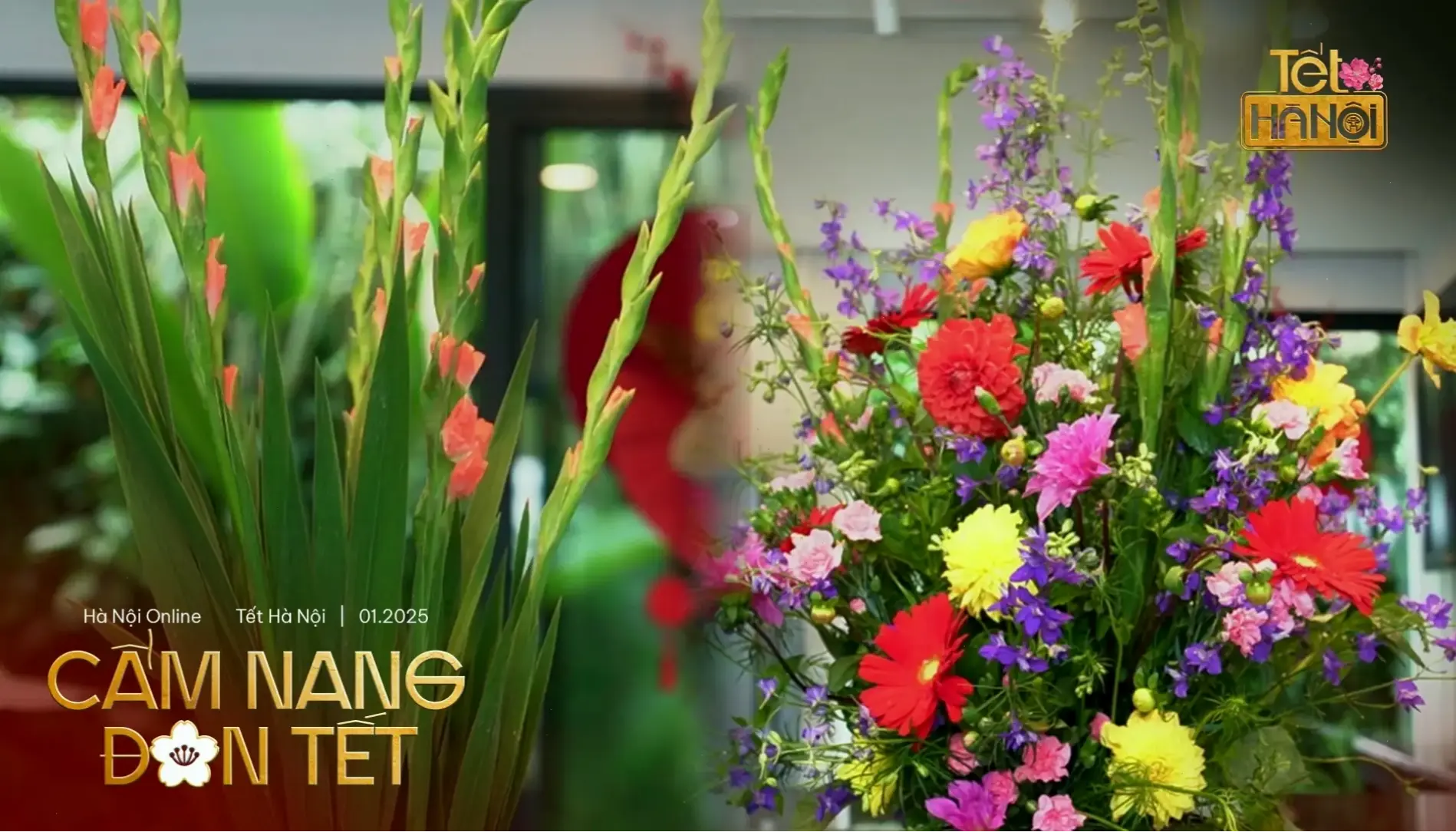 Hoa kim châm cắm bình, mang vẻ đẹp tự nhiên và tươi mới vào góc nhỏ trong nhà bạn.