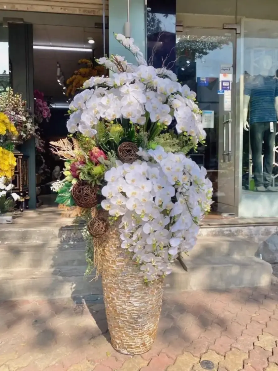 Hoa lan cắm bình đẹp, tạo điểm nhấn sang trọng cho bàn ăn hoặc phòng khách, với màu sắc rực rỡ và hương thơm quyến rũ.