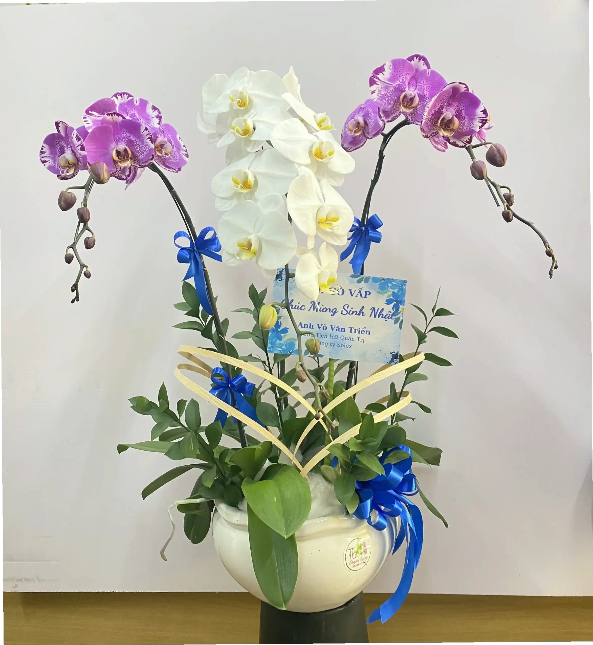 Hoa lan chúc mừng ý nghĩa, gửi lời chúc tốt đẹp đến người thân yêu, với vẻ đẹp tinh tế và thông điệp ấm áp.