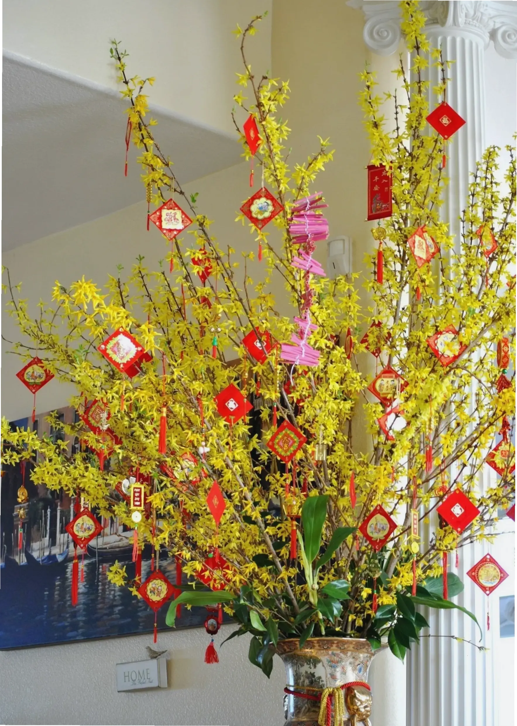 Hoa mai phong thủy trang trí Tết, mang lại năng lượng tích cực và tài lộc dồi dào.