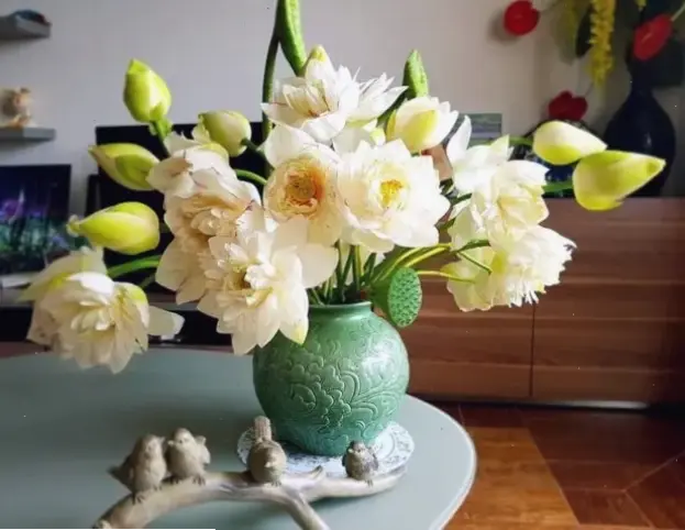 Hoa sen cắm bình qua cận cảnh, mang nét thanh lịch và duyên dáng vào không gian sống hàng ngày.