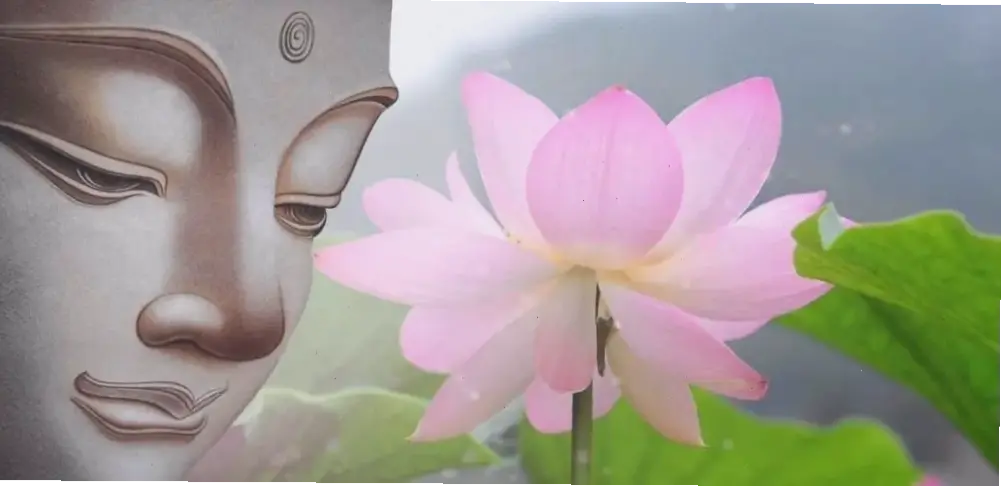 Hoa sen rực rỡ trong lễ Phật Đản, tượng trưng cho sự giác ngộ và lòng từ bi, lan tỏa ánh sáng tâm linh.