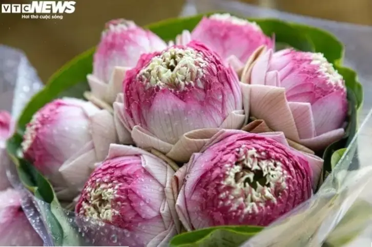 Hoa sen trên áo dài, biểu tượng duyên dáng và tinh tế, di sản văn hóa truyền thống Việt Nam.