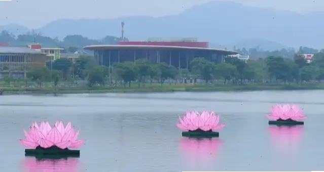 Hoa sen Việt Nam trong lễ Phật Đản, biểu tượng tinh thần và văn hóa dân tộc đầy tự hào.