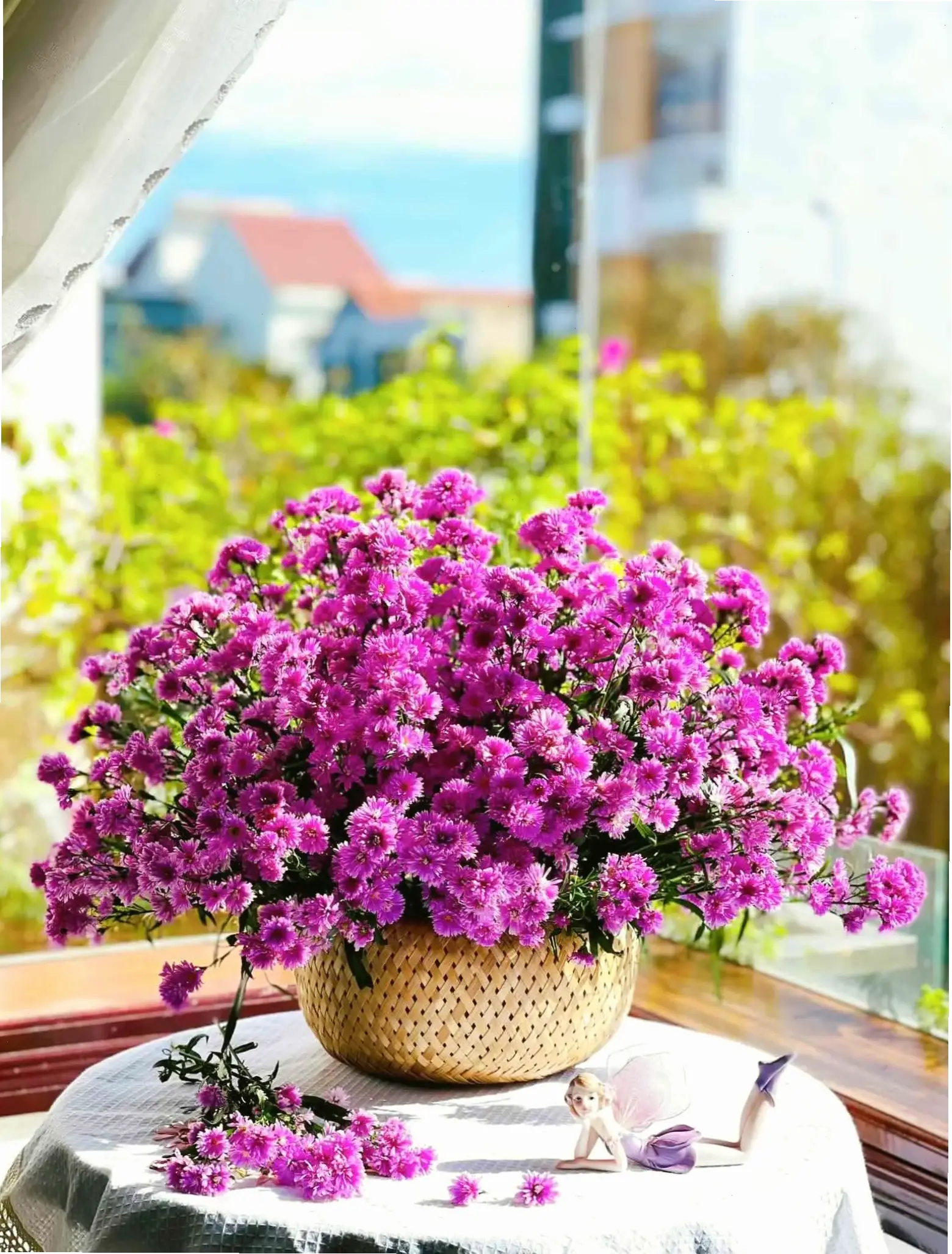 Hoa thạch thảo tím cắm bình, trang trí không gian sống thêm phần duyên dáng và tinh tế.