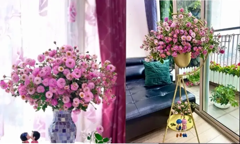 Hoa trạng nguyên cắm bình đơn giản, mang hương sắc tự nhiên và tươi mát vào ngôi nhà bạn.