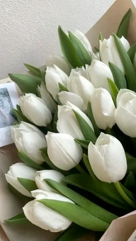 Hoa tulip cưới đẹp mê ly, với màu sắc rực rỡ và hương thơm quyến rũ, làm nên khoảnh khắc đáng nhớ cho lễ vu quy.