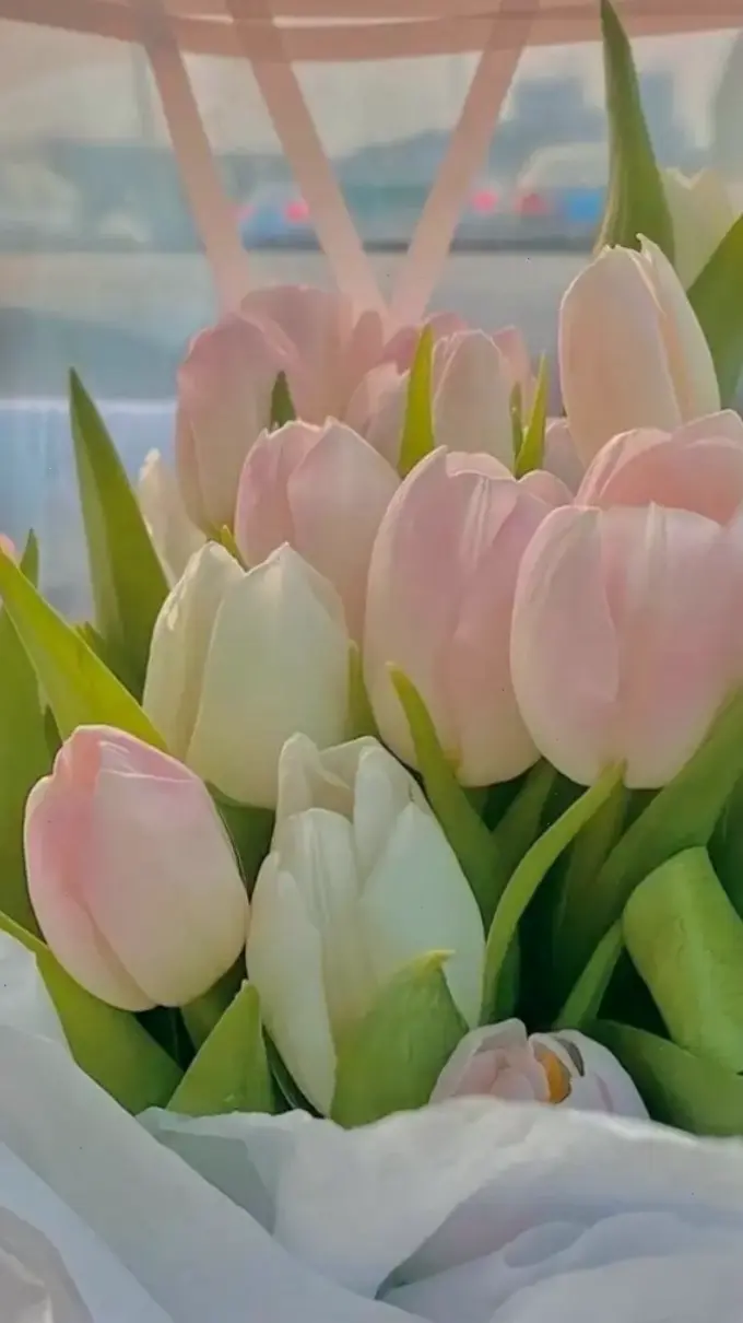 Hoa tulip lãng mạn tô điểm không gian, khơi dậy cảm xúc yêu đương ngọt ngào.