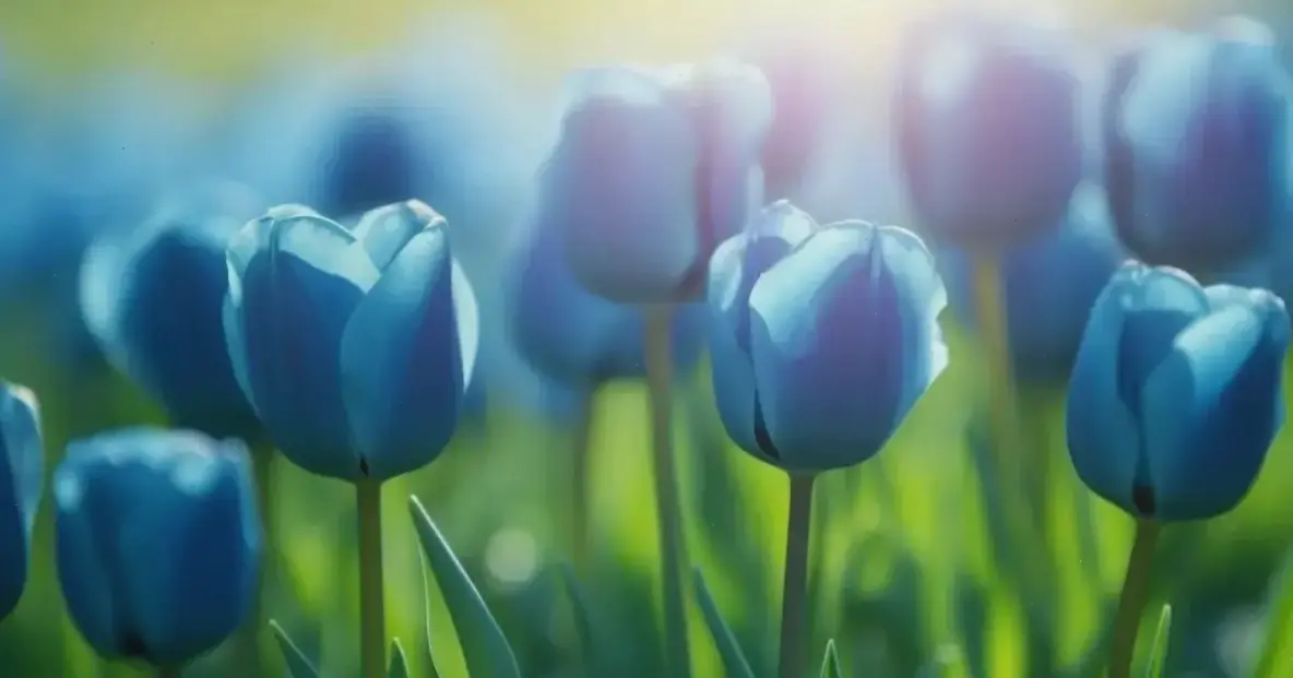 Hoa tulip sang trọng nâng tầm ngày cưới, mang đến vẻ quý phái và tinh tế, biến mọi chi tiết thành nghệ thuật hoàn hảo.