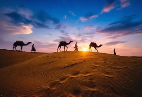 Hoàng hôn Sahara huyền ảo, kết thúc ngày bằng sắc màu đỏ rực và bầu trời mê hoặc.