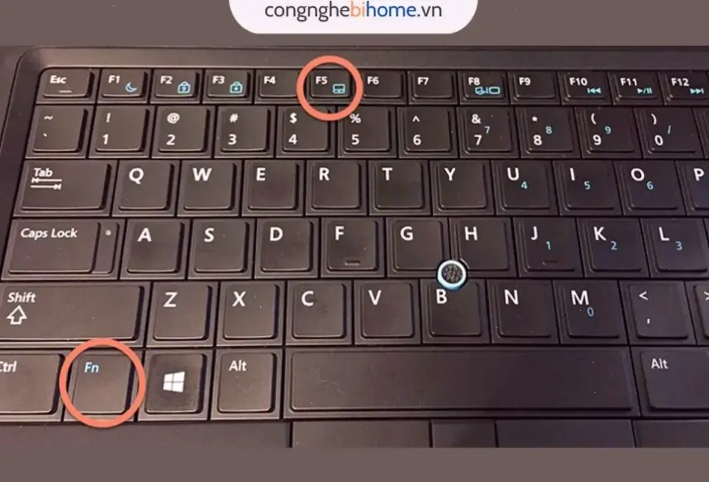 Hướng Dẫn Chính Xác Cách Bật Cảm Ứng Trên Laptop HP