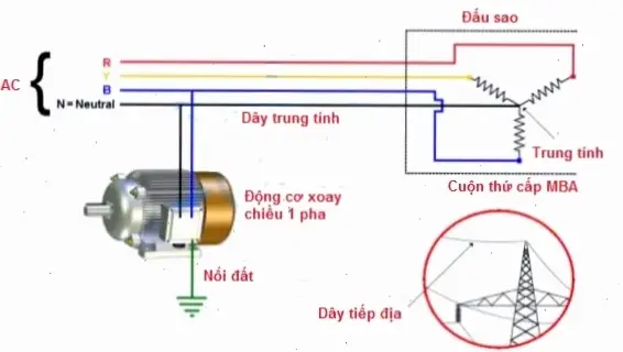 Kết Luận Và Lời Khuyên Cuối Cùng