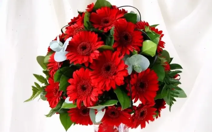 Khám phá bó hoa đồng tiền đỏ rực rỡ, mang năng lượng tích cực và tình yêu nồng nàn cho mọi dịp đặc biệt.